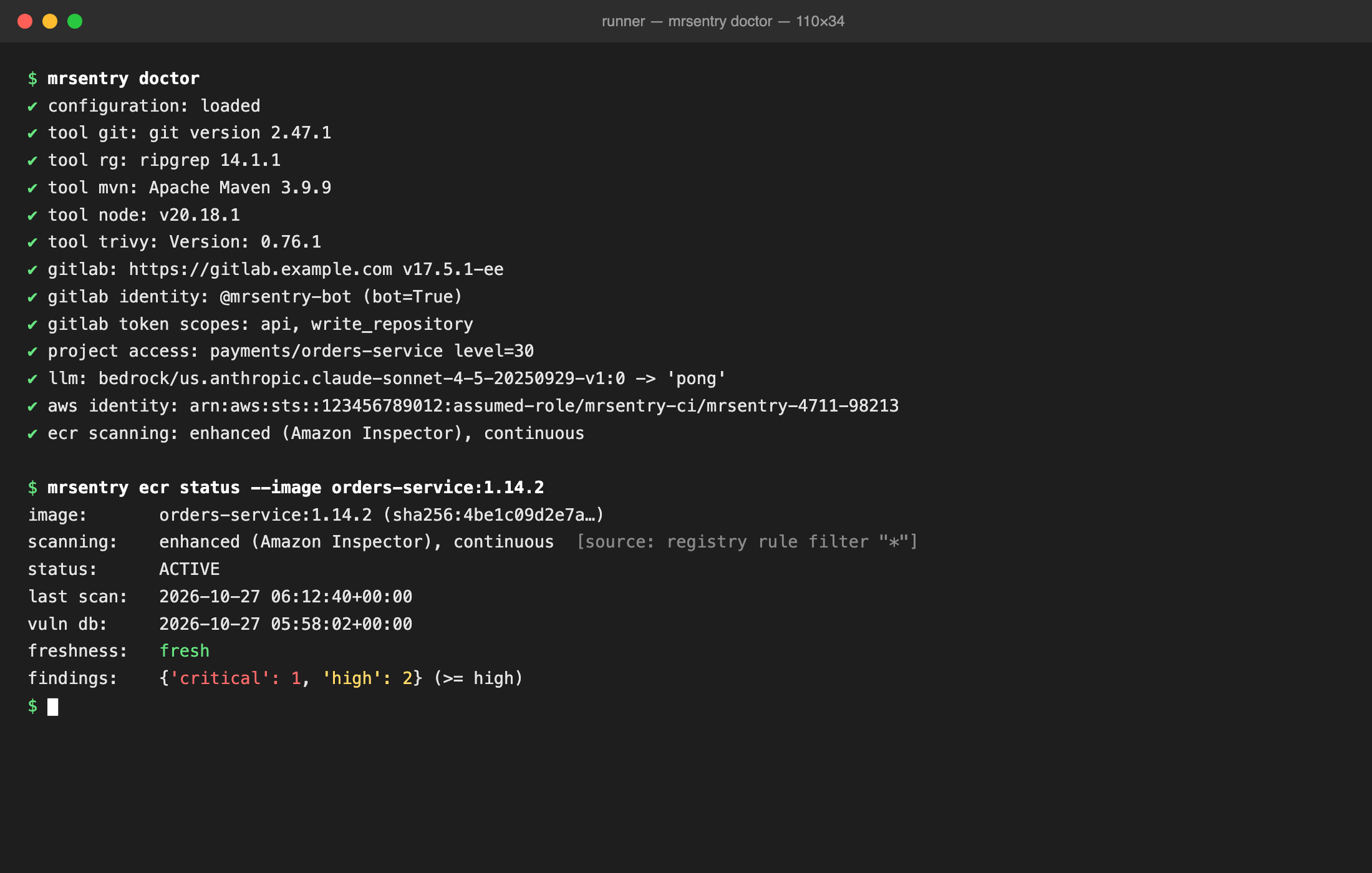 Terminal output of mrsentry doctor and mrsentry ecr status